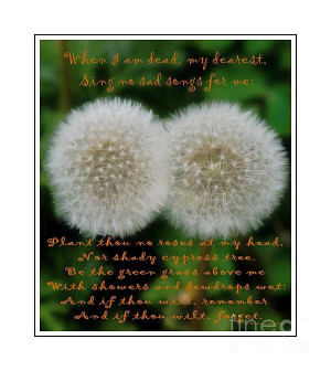 Double Wishes Quote When I Die Dandelion Poster By Barbara Griffin