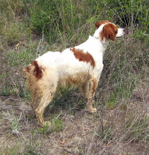 Quotes Drake Love · Sun Cloud Clipart · Make The Bed Clipart · Ipod ...