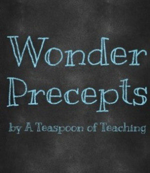 Precept Quotes from Wonder