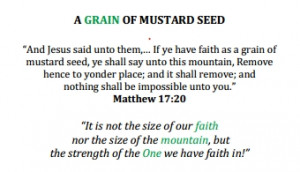 The GRAIN OF A MUSTARD SEED from the Holy Land is about the size of ...