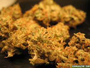 Re: Medical Marijuana Strain Guide