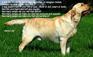 Marley And Me Movie Quotes Marley And Me Quotes Dog