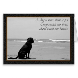 Death of a pet, dog death, sad, dog looking out greeting card