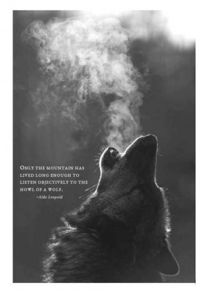 Aldo Leopold ~ wolf howl