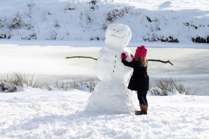 INAL RATI NG : ★★★★/★★★★★