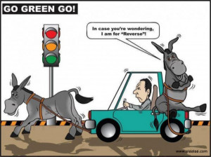Funny Pictures-Car-Donkey-Images-Photos- Green