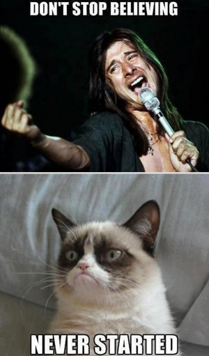 25 Best Moments of the Grumpy Cat