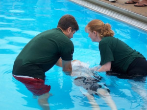 baptism Archives - The Salty Trail