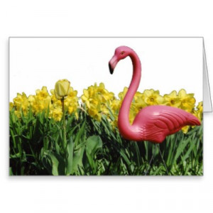 Funny Quotes Contact Dmca...