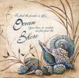 seashell quotes