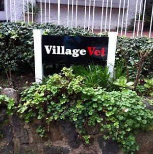 Veterinary Clinic Signs | Animal Hospital Signs | Pet Hospital Signs