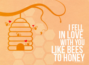 50 Owl City Lyrics - 12/50 : Honey & the Bee
