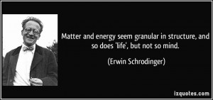 Matter and energy seem granular in structure, and so does 'life', but ...