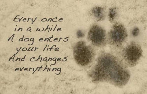 Every once in a while a dog enters your life and changes everything