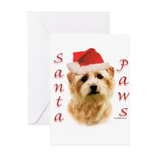 Santa Paws Norfolk Terrier Greeting Cards (Package for