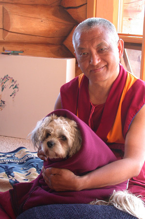 ... ://www.fpmt.org/teachers/zopa/CV_of_Lama_Thubten_Zopa_Rinpoche.pdf