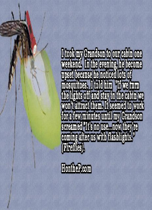 ... amusing quotes love quotes phrases and more amusing like pickup lines