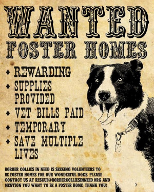 ... so they can keep more homeless dogs alive. (Click poster to enlarge
