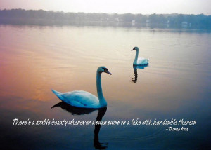 Pretty Bird Quote Photograph