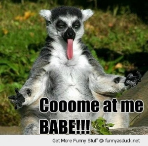 come at me babe monkey lemur animal tongue rude funny pics pictures ...