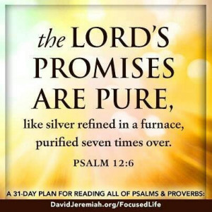 Psalm 12:6 The LORD's Promises are Pure