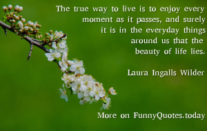 Funny Quote About Life By Laura Ingalls Wilder