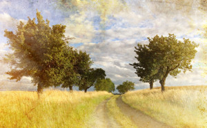 Redeeming Creation: The Biblical Basis for Environmental Stewardship