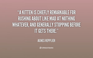 kitten is chiefly remarkable for rushing about like mad at nothing ...