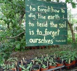 Pinned by Tommee Anthony