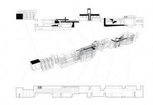 ANALYSIS - THOM MAYNE