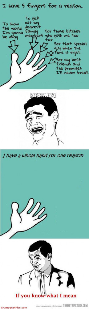 Have Five Fingers For One Reason Funny Captions Picture
