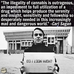 Carl Sagan Cannabis Illegality Quote