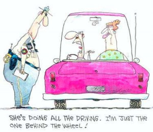 Funny pictures-Driving