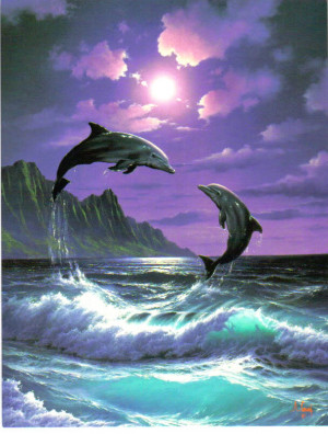 Dolphin Love Image