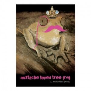 Vintage funny retro mustache monocle latin frog by LauraDaviesArt