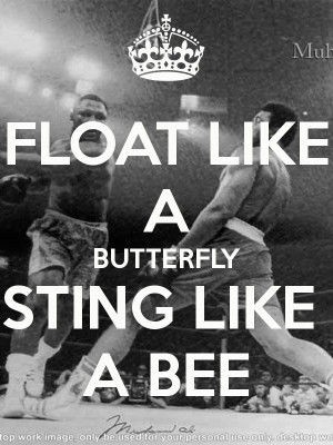 float-like-a-butterfly-sting-like-a-bee.png