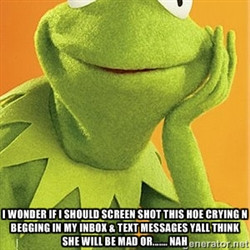 Kermit the frog - i wonder if i should screen shot this hoe crying n ...