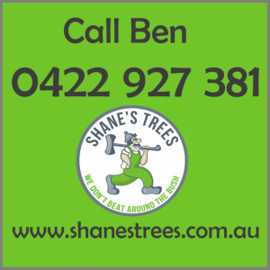 Tree Removal Quotes