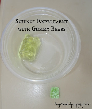 We hope your kids can have some science fun with this idea too.