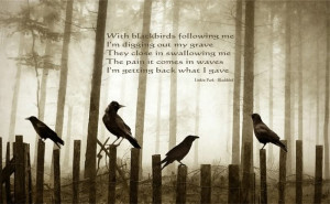 Blackbird photo blackbird.jpg