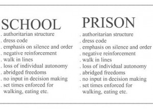School vs. prison: a comparison