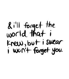 One of my favorite quotes of his. owl citi, adam young quotes, owl ...