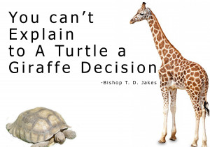 Instincts, Turtles, Giraffes and You