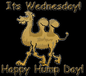 ITS WEDNESDAY HAPPY HUMP DAY, BROWN TEXT