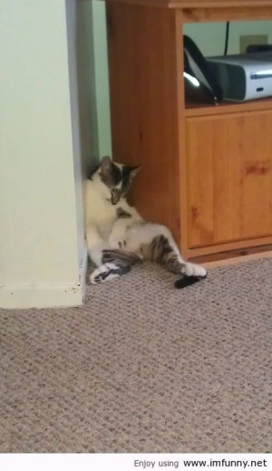 , leave me alone / Funny Pictures, Funny Quotes – Photos, Quotes ...