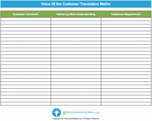 The Voice of Customer Lean Six Sigma