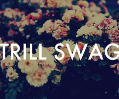 Analysa Kostanich Follow over 2 years ago