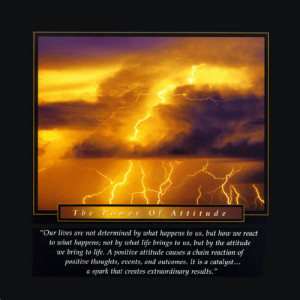 Eventually a campaign of positive reinforcement was tried and ...