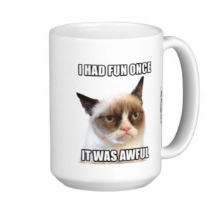 grumpy cat mug i had fun once it was awful grumpy cat mug i had fun ...