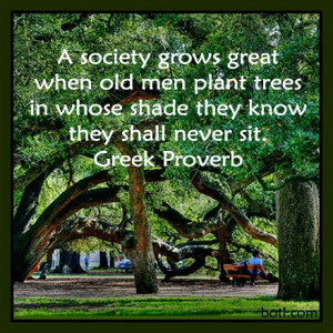 Putting others first. #quote #greek proverb #society #trees